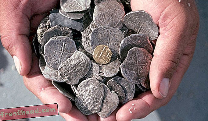 Queste monete d'argento spagnole furono recuperate da un naufragio alle Bahamas nel 17 ° secolo.