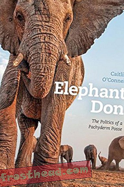 Preview thumbnail for video 'Elephant Don: The Politics of a Pachyderm Posse