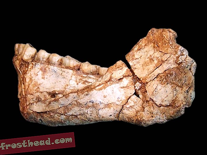 articulos, arqueologia, ciencia - La ciencia detrás del descubrimiento del Homo Sapien más antiguo