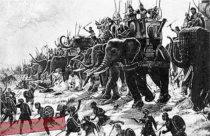 שיעור מההיסטוריה: כשאתה מרכיב צבא של פילים מלחמה, אל תבחר באוכלוסים