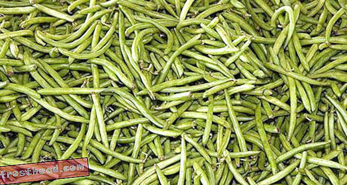 Pět způsobů, jak jíst zelené fazole
