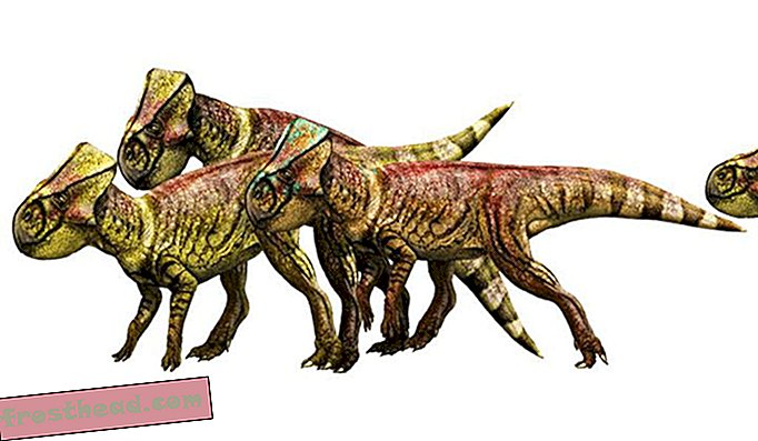 Estes são os menores dinossauros vistos no filme.