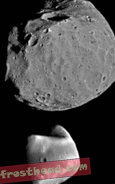 Phobos dan Deimos, dilihat di sini bersama-sama untuk perbandingan.