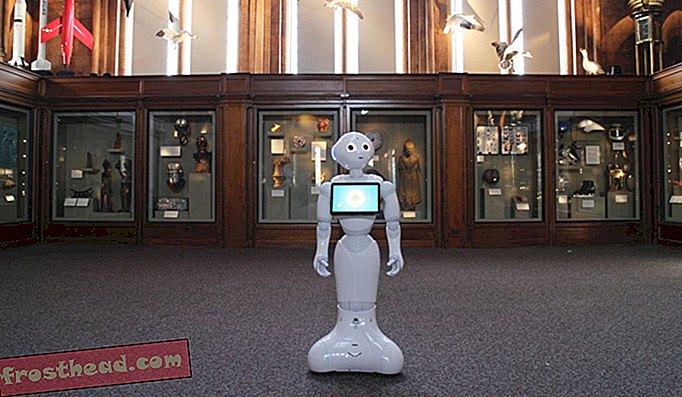 artiklid, kunst ja kultuur sepikojas - Smithsonian kasutab suahiili keelt kõnelevat robotit keelebarjääride kaotamiseks