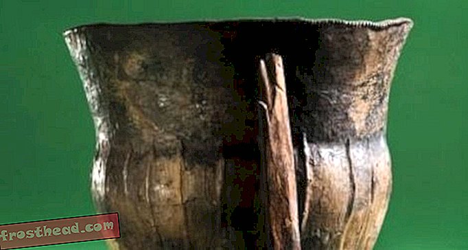 Starověké hrnce ukazují, jak lidé přijali zemědělství