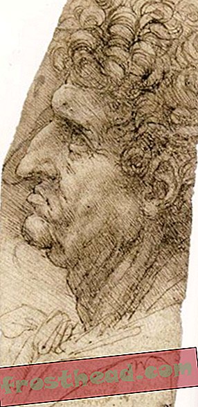 La cabeza de un hombre de perfil de Leonardo da Vinci