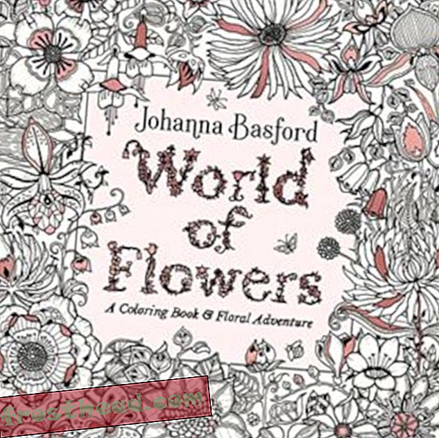 Preview thumbnail for 'World of Flowers: A Coloring Book and Floral Adventure