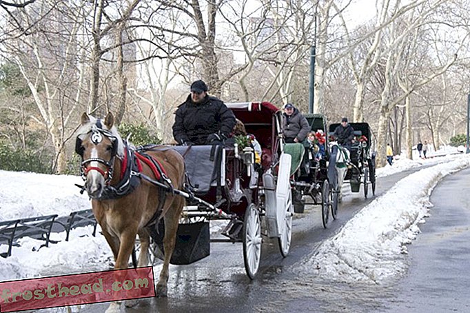 članci, umjetnost i kultura, pametne vijesti - Konjske uprežne kočije u Centralnom parku mogu se zamijeniti starinskim električnim automobilima