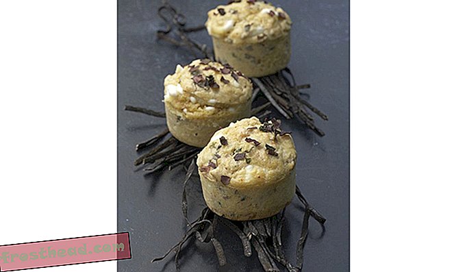 alge marine-muffins.jpg