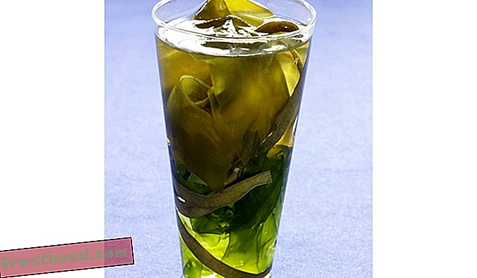 alge marine-drink.jpg