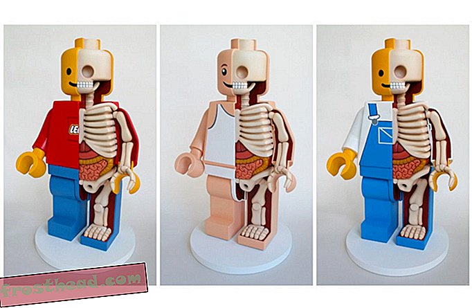 статии, изкуства и култура, изкуство и художници, наука, ум и тяло - Вижте вътрешната анатомия на Барби, Марио и Мики Маус - кости, вътрешности и всички