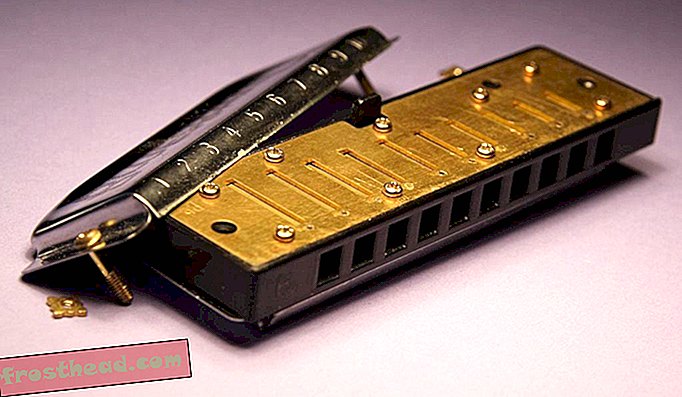 La plaque de roseau d'un harmonica, mettant en vedette 10 roseaux gratuits.
