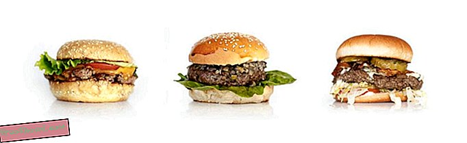 Елате за Хамбургер, Останете за критиката на дизайна