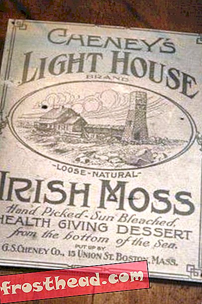 Artikel, Kunst & Kultur, Essen, Blogs, Essen und Denken - Irisches Moos essen