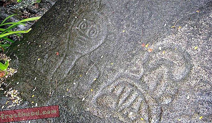 Petroglyphs ved Reef Bay Trail i de amerikanske Jomfruøer.