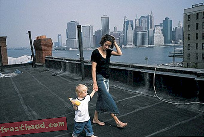 artykuły, sztuka i kultura, sztuka i artyści - 11 września Z dachu Brooklynu