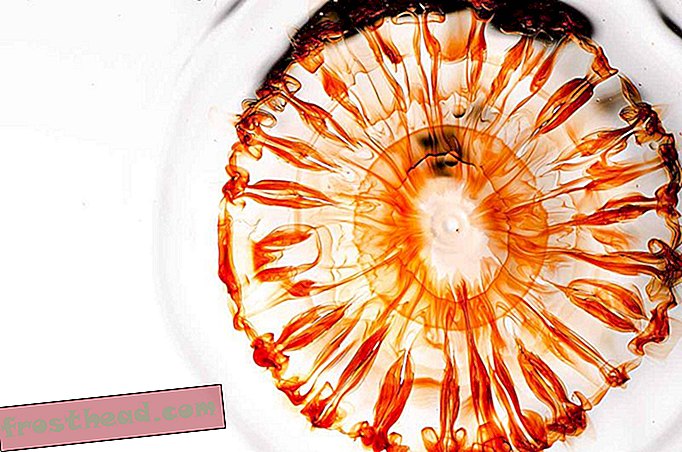 Οι χρονομετρικές φωτογραφίες αποκαλύπτουν την ομορφιά των μεταλλικών κρύσταλλων που μεγαλώνουν