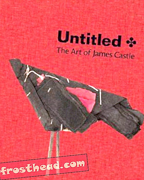 Preview thumbnail for video 'Untitled: The Art of James Castle