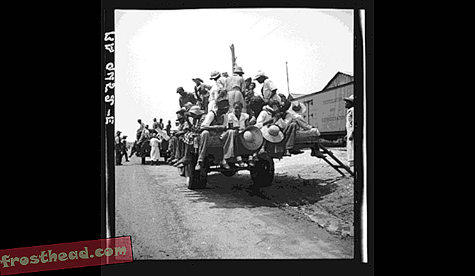 Οι συλλέκτες ροδάκινων που οδηγούνται στους οπωρώνες, Muscella, Georgia, 1936, φωτογραφίζονται από την Dorothea Lange