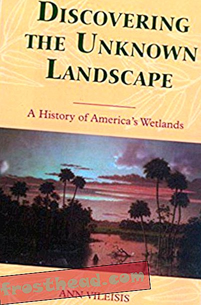 Ülevaade teemal "Tundmatu maastiku avastamine: Ameerika märgalade ajalugu"