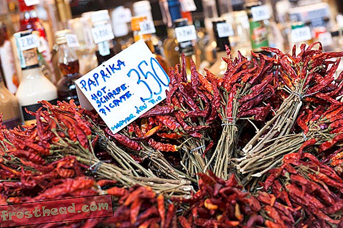 Sušené hrozny červené papriky v Budapešti