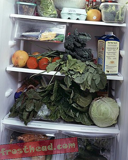 artikler, kunst og kultur, mat, blogger, mat og tenk - Hva er i kjøleskapet ditt?