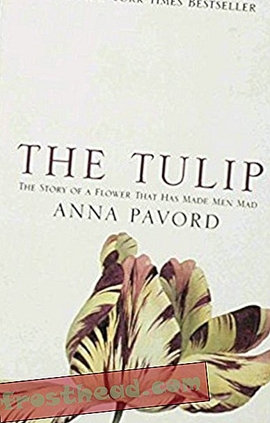 artikel, seni & budaya, buku - Kajian 'The Tulip: Kisah Bunga Yang Telah Membuat Lelaki Gila'