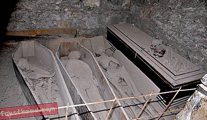Мумифицираните останки от елита на Дъблин почиват в криптите под църквата "Св. Михан".