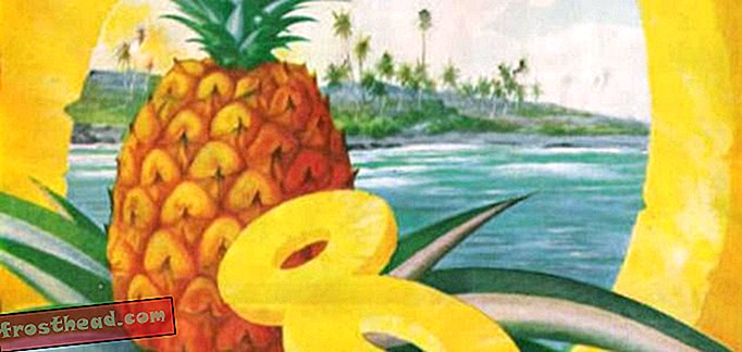 זו עונת האננס, אבל האם הפירות שלך מגיעים מהוואי?