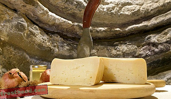 Част от сиренето от Museo del Formaggio di Fossa.