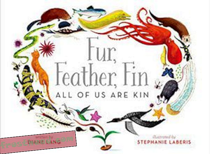 Preview thumbnail for 'Fur, Feather, Fin―All of Us Are Kin