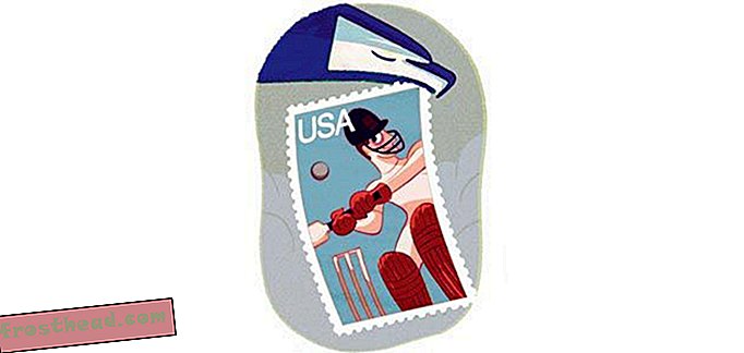 Stamp Tact
