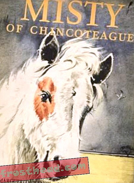 Истинската история за мъглата на Чинкотейг, понито, което гледаше опустошителен Нор'Естър