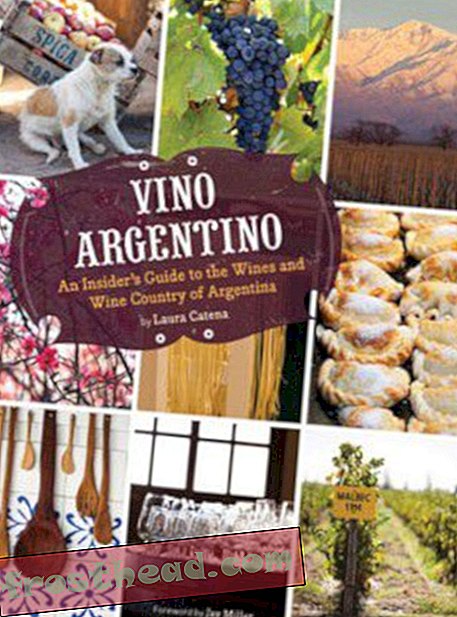 Wino argentyńskie: Malbec i więcej