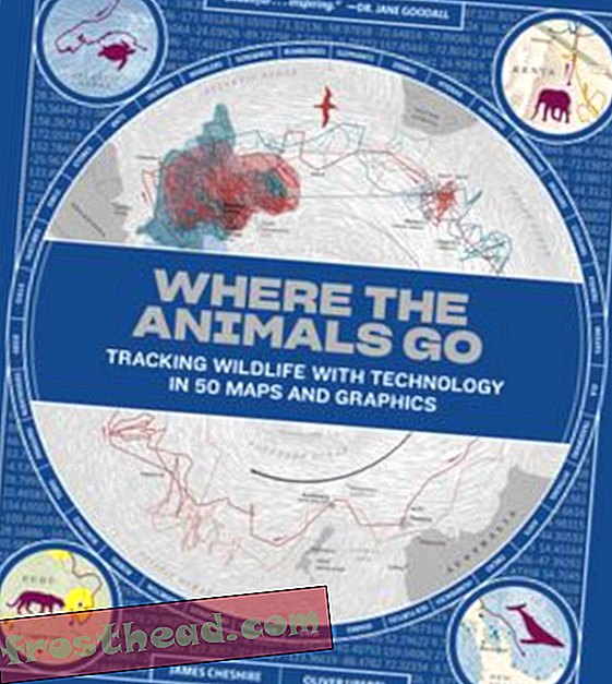 Preview thumbnail for video 'Where the Animals Go: Tracking Wildlife with Technology in 50 Maps and Graphics