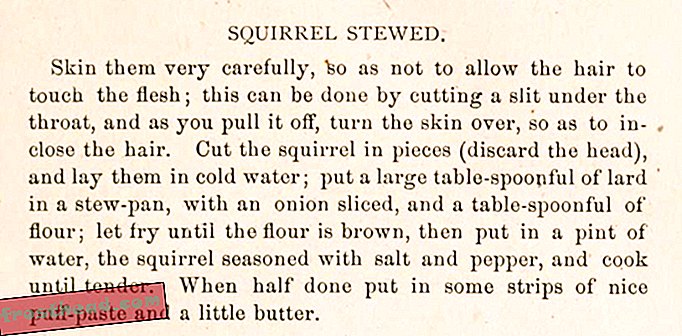 articles, arts et culture, cuisine, blogs, nourriture et réflexion - Rien d'extraordinaire: écureuil cuit, 1878