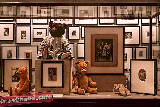 Artikel, Kunst & Kultur, Fotos, Reisen - So sehen 3.000 Fotos von Teddybären aus