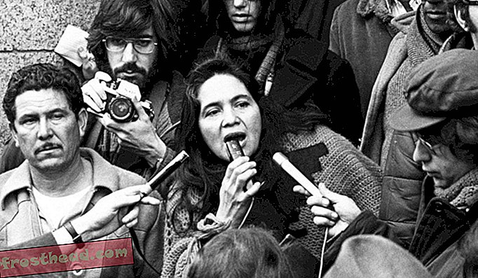 Persidangan akhbar Dolores Huerta, 1975