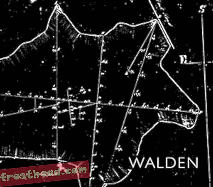 Preview thumbnail for 'Walden