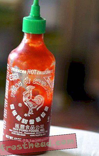 Diese Woche in Essen: Twitter, Trader Joes Wein und das Geheimnis hinter Sriracha