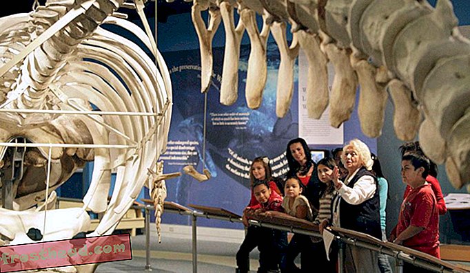 Музей на китолова в Бедфорд