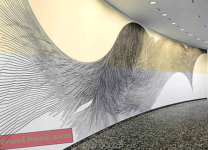 Meeldejäävad tulemused, kui muuseum palub kunstnikul joonistada kogu sein