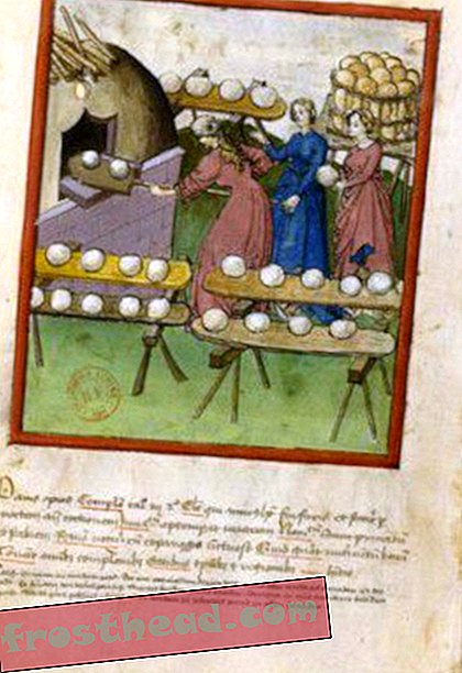 स्वास्थ्य भोजन का इतिहास, भाग 2: मध्यकालीन और पुनर्जागरण काल