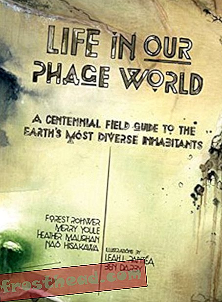 Preview thumbnail for video 'Life in Our Phage World