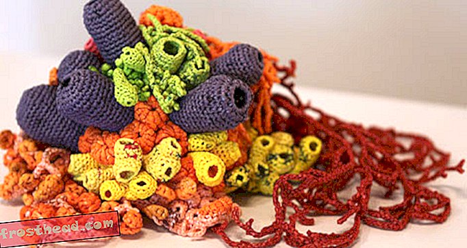 宝としてのゴミ箱：プラスチック製のサンゴ礁のかぎ針編み