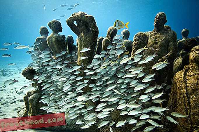 чланци, уметност и култура, уметност и уметници, наука, наша планета, путовања, централна и јужна  - Може ли подводна уметност спасити океанске коралне гребене?