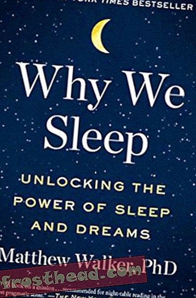 Preview thumbnail for 'Why We Sleep: Unlocking the Power of Sleep and Dreams