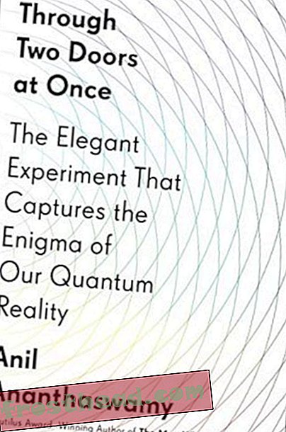 Preview thumbnail for 'Through Two Doors at Once: The Elegant Experiment That Captures the Enigma of Our Quantum Reality