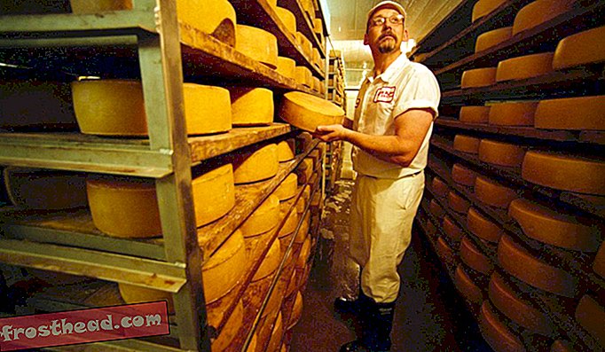 Bruce Workman, voormalig meesterkaasmaker bij het beroemde Roth Kase-kaasbedrijf, rekt wielen van 18 pond Grand Cru Gruyere-kaas voor het drogen in de Roth Kase-fabriek in Monroe, Wisconsin.