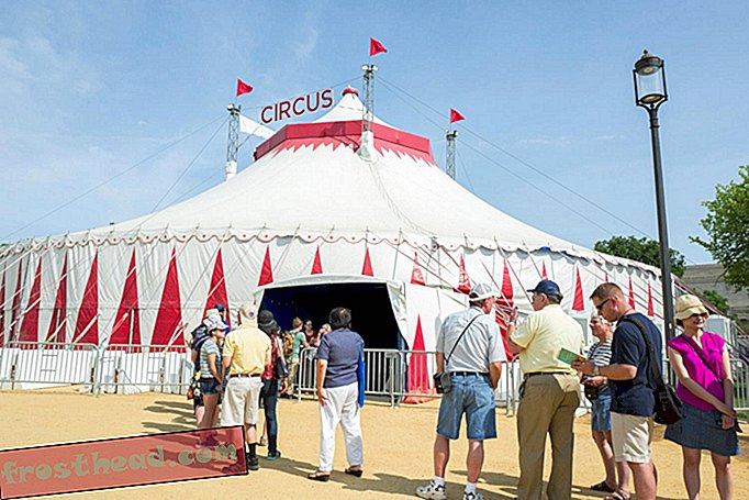 צעד ממש עד אוהל הקרקס הגדול הגדול בפסטיבל הפולקלייף השנתי